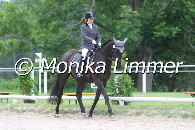 097L5299_Dark Shadow.JPG